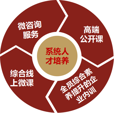 系统人才培养图片-湖南中坚力量.png